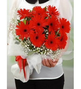 Kırmızı Gerbera Buketi
